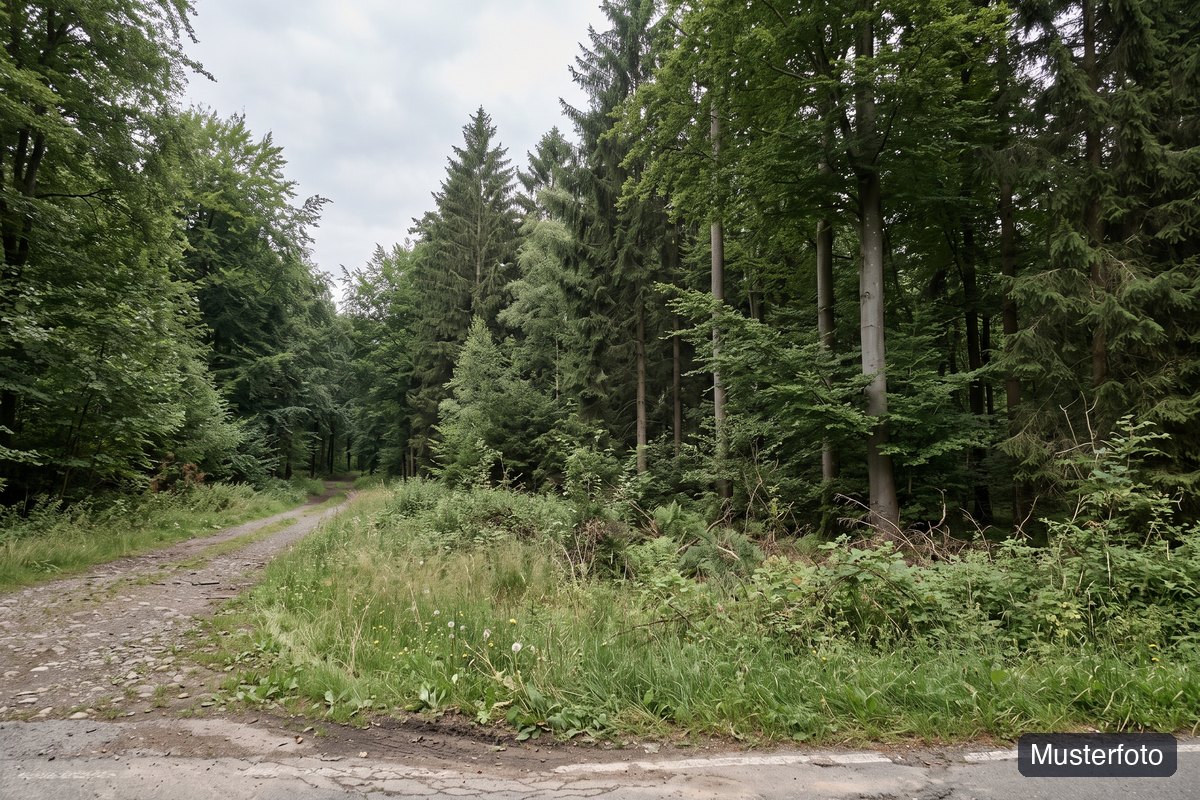Musterfoto land- und forstwirtschaftliches Grundstück, nicht das tatsächliche Objekt
