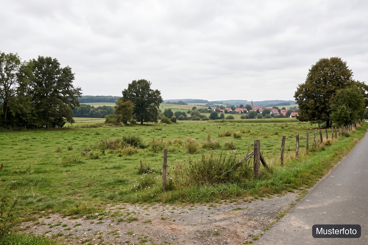 Musterfoto land- und forstwirtschaftliches Grundstück, nicht das tatsächliche Objekt
