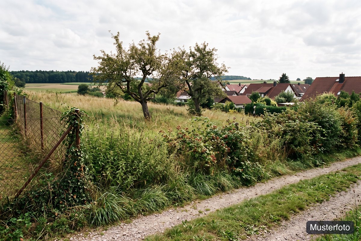 Musterfoto unbebautes Grundstück, nicht das tatsächliche Objekt